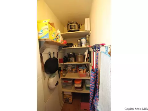 1515 W Edwards, Springfield, IL 62704 photo 34