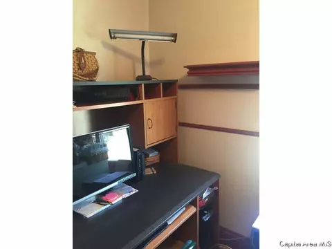438 W Vine, Springfield, IL 62704 photo 18