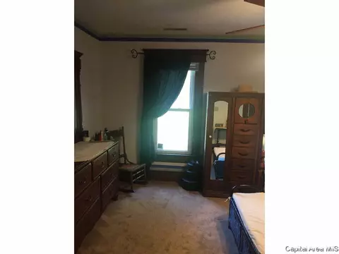 438 W Vine, Springfield, IL 62704 photo 20