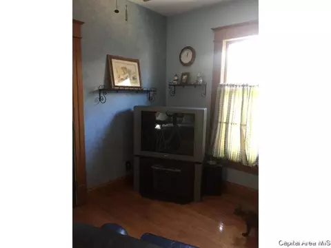 438 W Vine, Springfield, IL 62704 photo 11