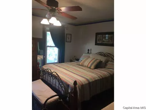 438 W Vine, Springfield, IL 62704 photo 19