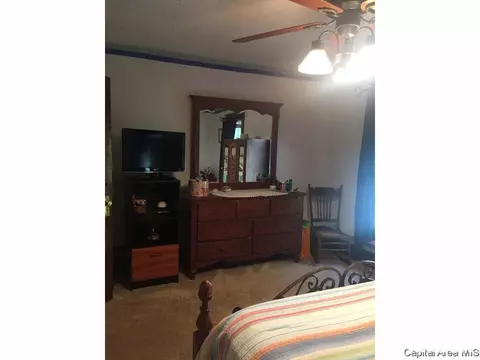 438 W Vine, Springfield, IL 62704 photo 21