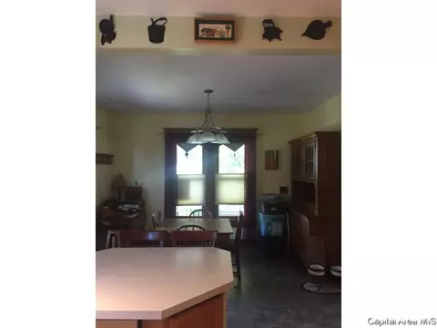 438 W Vine, Springfield, IL 62704 photo 4