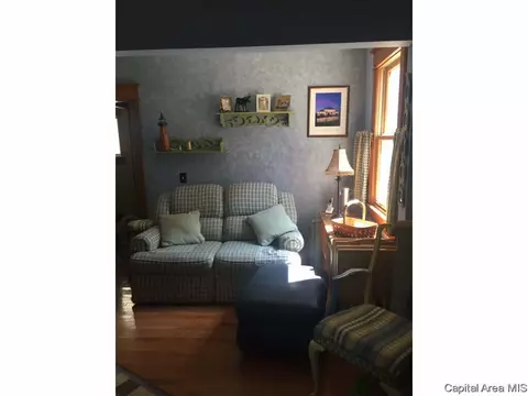 438 W Vine, Springfield, IL 62704 photo 13