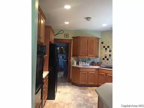 438 W Vine, Springfield, IL 62704 photo 7
