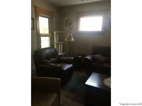 438 W Vine, Springfield, IL 62704 photo 8