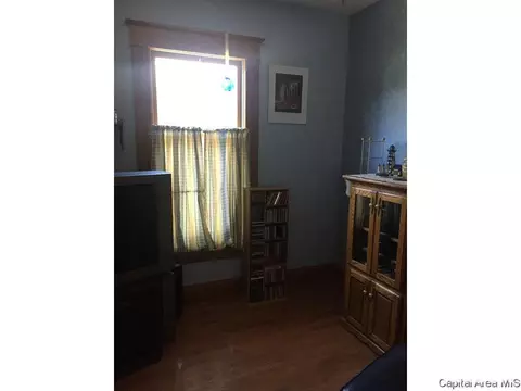 438 W Vine, Springfield, IL 62704 photo 10