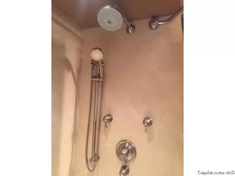438 W Vine, Springfield, IL 62704 photo 33