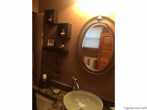 438 W Vine, Springfield, IL 62704 photo 32