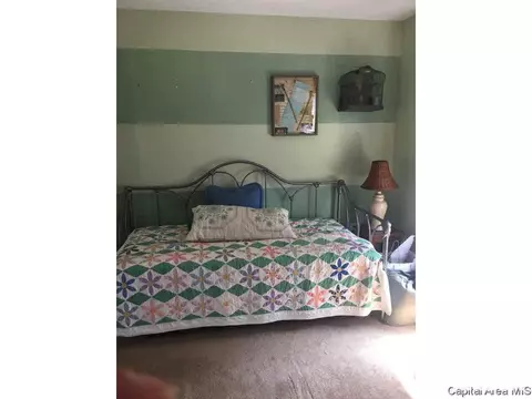 438 W Vine, Springfield, IL 62704 photo 16