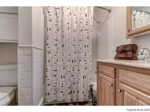 1508 Reed Ave, Springfield, IL 62704 photo 21