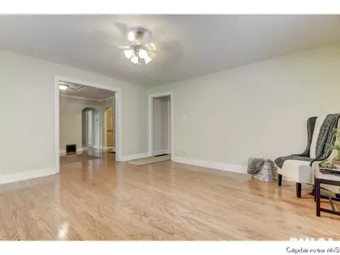 1508 Reed Ave, Springfield, IL 62704 photo 8