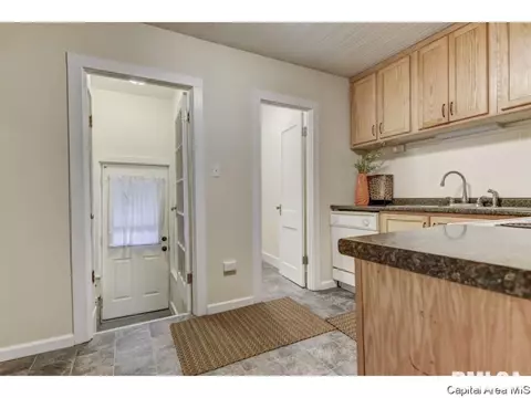 1508 Reed Ave, Springfield, IL 62704 photo 16