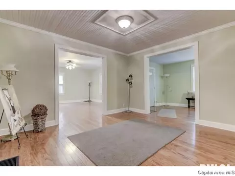 1508 Reed Ave, Springfield, IL 62704 photo 13