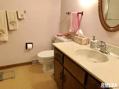 3312 Ivyton Dr, Springfield, IL 62704 photo 20