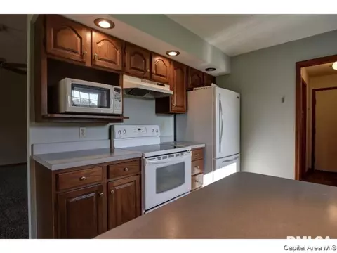 104 Dante Dr, Springfield, IL 62703 photo 15