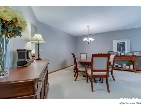 20 Wildwood Road, Springfield, IL 62704 photo 13