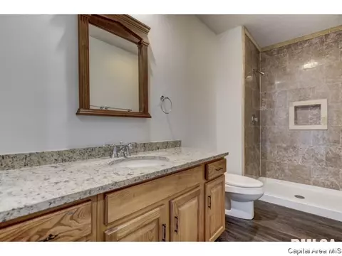 21 Hollybrook Dr, Springfield, IL 62702 photo 16