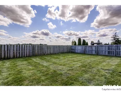 4838 Leah Dr, Springfield, IL 62711 photo 33