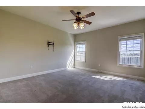 4838 Leah Dr, Springfield, IL 62711 photo 22