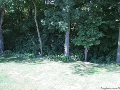 1099 Willowbrook Dr, Springfield, IL 62711 photo 5