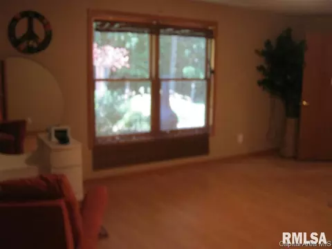 1099 Willowbrook Dr, Springfield, IL 62711 photo 25
