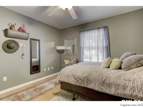 4201 Clearwater Ln, Springfield, IL 62703 photo 26