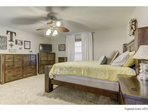 4201 Clearwater Ln, Springfield, IL 62703 photo 23