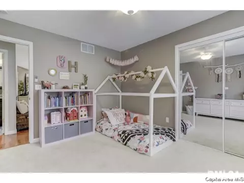 4201 Clearwater Ln, Springfield, IL 62703 photo 29