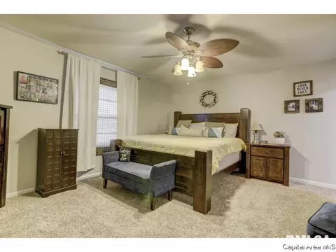4201 Clearwater Ln, Springfield, IL 62703 photo 21