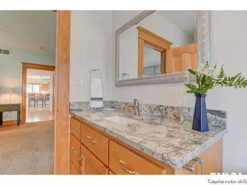 1804 Tremont Dr, Springfield, IL 62711 photo 26