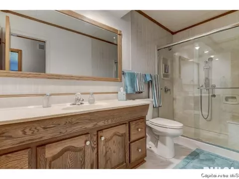 906 Mckibbin Ln, Springfield, IL 62711 photo 31
