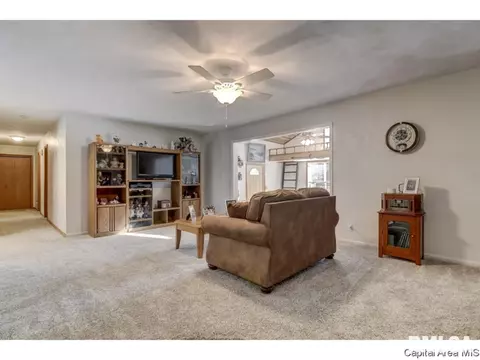 906 Mckibbin Ln, Springfield, IL 62711 photo 4