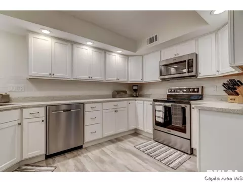 906 Mckibbin Ln, Springfield, IL 62711 photo 16