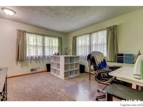 906 Mckibbin Ln, Springfield, IL 62711 photo 29