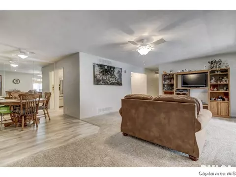 906 Mckibbin Ln, Springfield, IL 62711 photo 6