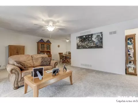 906 Mckibbin Ln, Springfield, IL 62711 photo 5