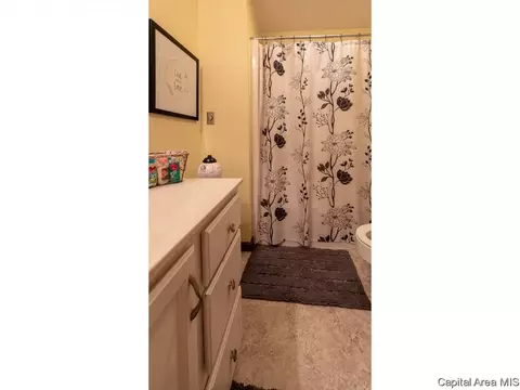 1909 Waterford Dr, Springfield, IL 62703 photo 26