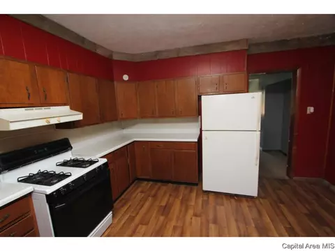 226 W Elliott Ave, Springfield, IL 62702 photo 6