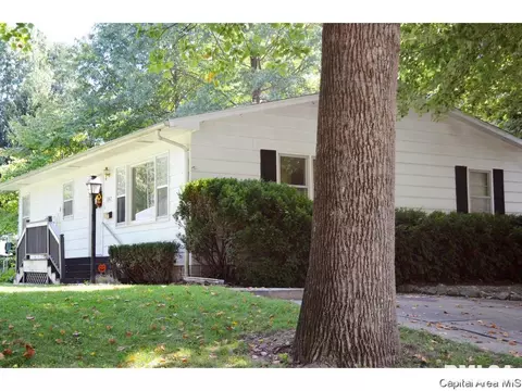 1342 N Ledlie Ave, Springfield, IL 62702 photo 29