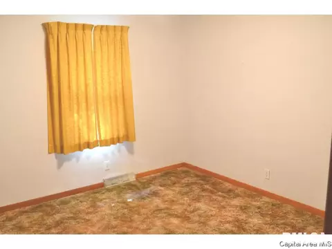 1342 N Ledlie Ave, Springfield, IL 62702 photo 14
