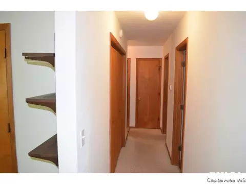 1342 N Ledlie Ave, Springfield, IL 62702 photo 19