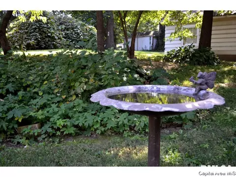 1342 N Ledlie Ave, Springfield, IL 62702 photo 24