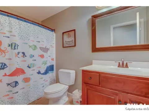 1908 Providence Ln, Springfield, IL 62711 photo 18