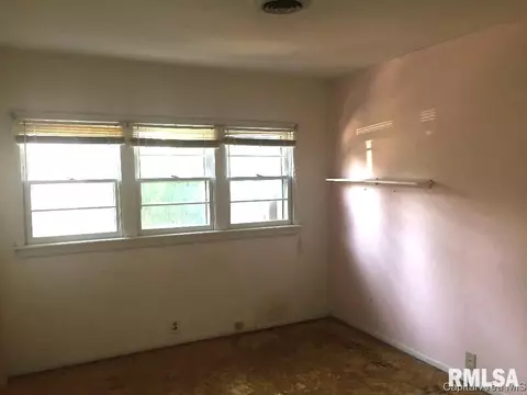 3135 S Rita Ave, Springfield, IL 62703 photo 23