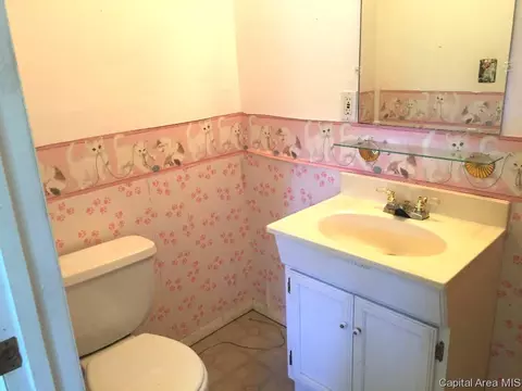 3135 S Rita Ave, Springfield, IL 62703 photo 15