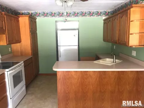 3135 S Rita Ave, Springfield, IL 62703 photo 12