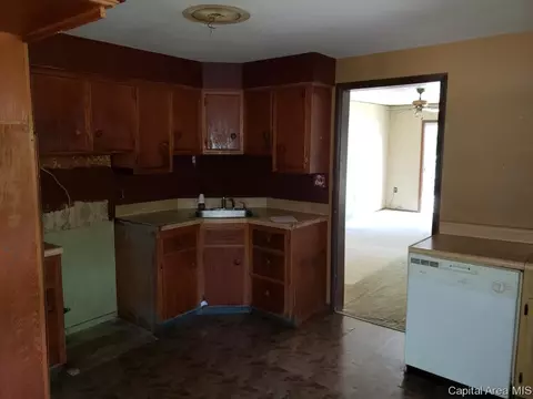 920 N Stephens Ave, Springfield, IL 62702 photo 9