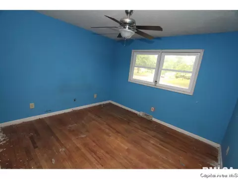 142 Dawn Dr, Springfield, IL 62702 photo 11