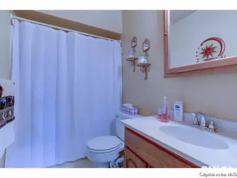 2921 Griffiths, Springfield, IL 62702 photo 11